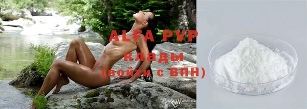 амф Арсеньев