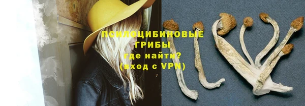 mdpv Армянск