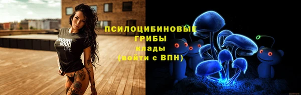 дживик Аркадак