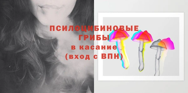 дживик Аркадак