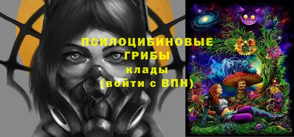 дживик Аркадак