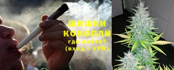 дживик Аркадак